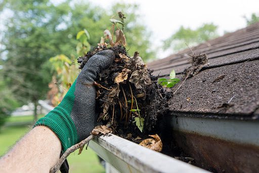 gloved hand removing leaves and debris from gutter